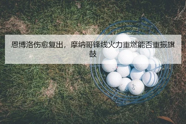 en-bo-luo-shang-yu-fu-chu-mo-na-ge-feng-xian-huo-li-zhong-ran-neng-fou-chong-zhen-qi-gu-2-618.jpg